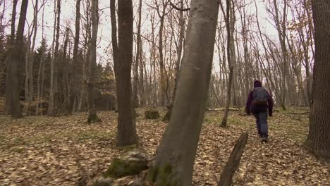 Woman-in-purple-jacket-with-backpack-hiking-through-Hoia-Baciu-forest-in-Romania-in-winter-1