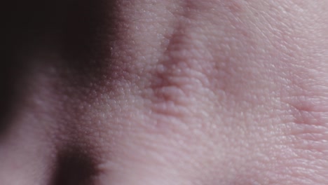 Young-And-Supple-Looking-Skin-Of-The-Hand---Extreme-Closeup-Shot