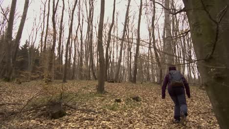 Woman-in-purple-jacket-with-backpack-hiking-through-Hoia-Baciu-forest-in-Romania-in-winter