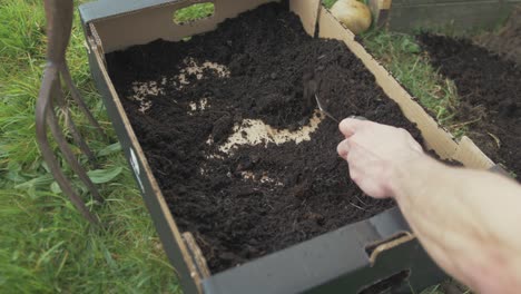 Taking-nutrient-rich-compost-from-cardboard-box-with-trowel