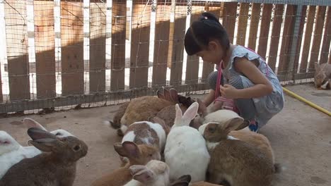 Asiatisches-Kleines-Mädchen,-Das-Kaninchen-Mit-Gemüse-Auf-Dem-Bauernhof-Füttert
