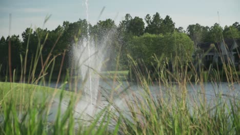Neighborhood-Fountain-on-Lake-Through-Tall-Grass-on-a-Summer-Day