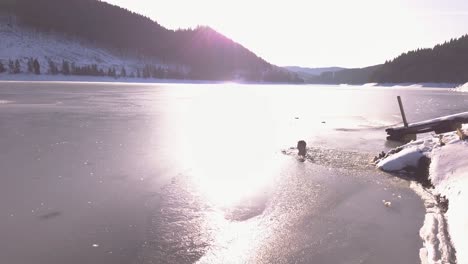 Descending-aerial-view-of-man-neck-deep-in-frozen-mountain-lake-with-sunlight-shining-on-icy-surface