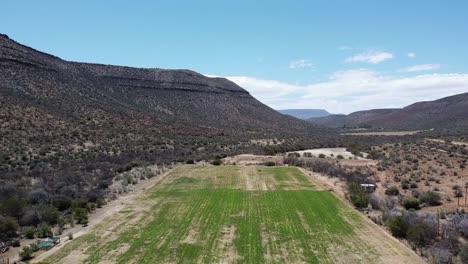 Karoo-farm-landscape-near-Graaff-Reinet-during-drought-featuring-Lucerne-field