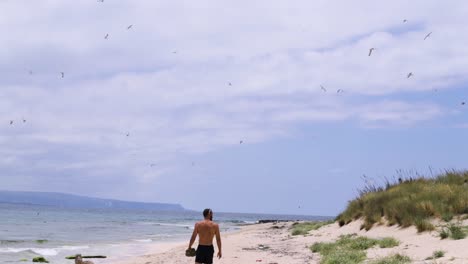 Young-Caucasian-man-walking-on-sandy-beach-by-seashore-with-seagull-birds-flying-above,-pan-up