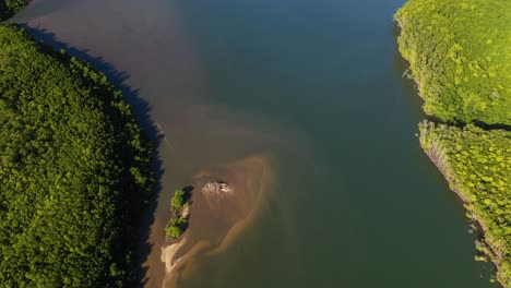 Aerial:-wide-river-flowing-through-rainforest-near-delta,-jungle-ecosystem