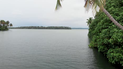 4k-Aerial-Reveal-Drone-shot-of-a-25-year-old-Indian-Male-sitting-on-top-of-a-sloped-Coconut-tree-by-the-backwaters-of-Munroe-Island,-Ashtamudi-Lake,-Kerala