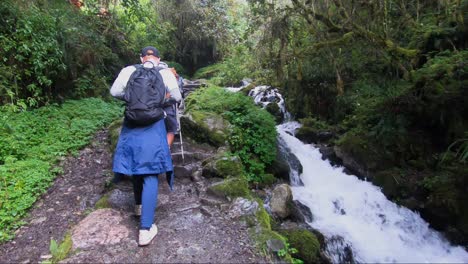 Folgen-Sie-Von-Hinten-Der-Kaukasischen-Maie-Wanderung-Auf-Treppen-Aus-Felsen-Neben-Einem-Kleinen-Fluss-Auf-Dem-Inka-Pfad-In-Peru