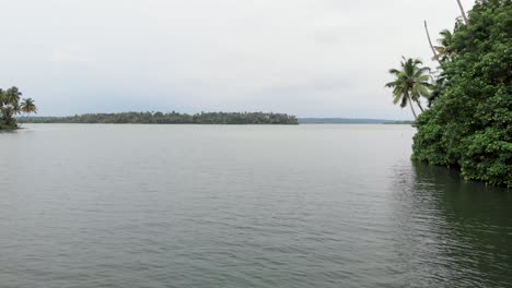 4k-Aerial-Drone-shot-of-a-25-year-old-Indian-Male-sitting-on-top-of-a-sloped-Coconut-tree-by-the-backwaters-of-Munroe-Island,-Ashtamudi-Lake,-Kerala