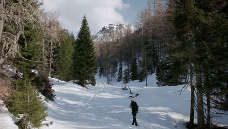 Caminando-Por-Un-Sendero-Cubierto-De-Nieve-Profunda-1