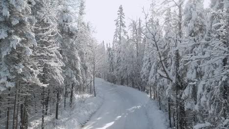 Toma-Panorámica-De-Drones-Hacia-Arriba-De-Un-Día-Nevado-Con-Un-Camino-Cubierto-De-Nieve-Rodeado-De-Pinos-Y-Abetos-Cubiertos-De-Nieve-Ubicados-En-El-Norte-De-Ontario,-Canadá