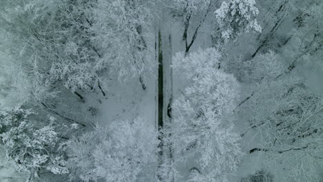 Schneebedeckte-Kiefernwälder-Zwischen-Landstraßen-Im-Winter-In-Pieszkowo,-Polen