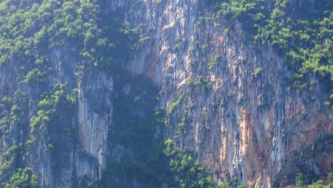 A-close-up-shot-of-a-breathtaking-nature-phenomenon-of-a-rocky-mountain-on-which-jungle-grows