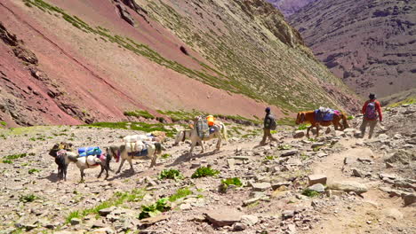 Sherpa-caravan-descending-on-a-track-in-the-mountains,-bright-sunny-day-as-people-and-horses-going-on-an-adventure