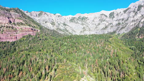 Aerial-Drone-Reveal-of-Beautiful-Ouray-Colorado-Thick-Pine-Tree-Forest-and-Mountain-Range-During-Summer-with-Cars-Driving-on-Highway-550-by-Rocky-Mountain-Houses