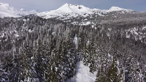 Aerial-view-of-snow-covered-mountain-peak-and-trees