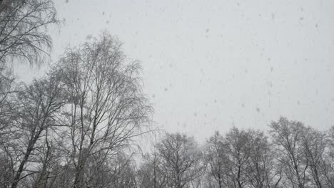 Snow-falling-from-the-sky