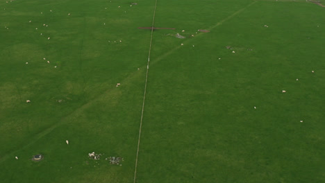 Drohnenaufnahmen-Eines-Schafparks-In-Neuseeland