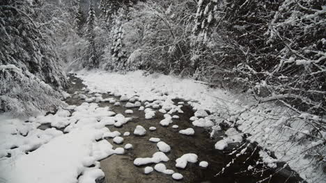 Unberührtes-Wasser,-Das-Durch-Einen-Gebirgsfluss-Fließt,-Umgeben-Von-Nadelbäumen-Im-Winter-Im-Kokanee-Creek-Provincial-Park-In-Bc,-Kanada
