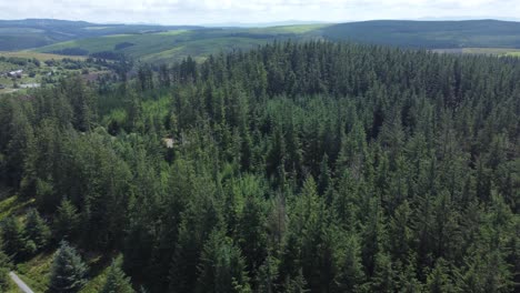 Luftaufnahme,-Die-Sich-über-Alpinen-Bergwaldbäumen-Erhebt,-Sanfte-Hügellandschaft-In-Der-Ferne