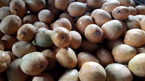 Fresh-mango-fruit-in-the-market,-desi-mango,-fresh-mango-in-the-market-with-good-arrange-sort