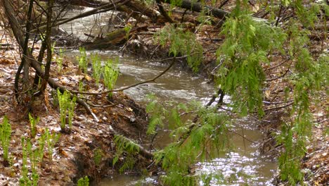 Water-Flowing-At-Stream-In-Nature,-Branch-Of-Leaves-In-Foreground,-Static-Shot