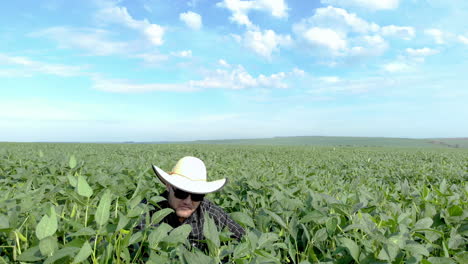Agronomist-inspecting-soya-bean-crops-growing-in-the-farm-field