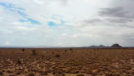 Die-Majestätische-Mojave-Wüstenlandschaft-Und-Joshua-Bäume-In-Diesem-Einsamen-Und-Kargen-Becken---Luftbild