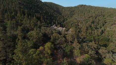 Evergreen-forests-cover-the-rugged-landscape-of-the-Tehachapi-mountains---first-person-aerial-view