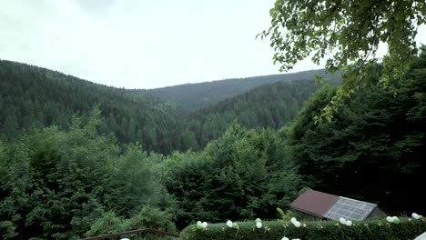 Garten-Voller-Luftballons-Mitten-Im-Wald-Mit-Blick-Auf-Die-Berge