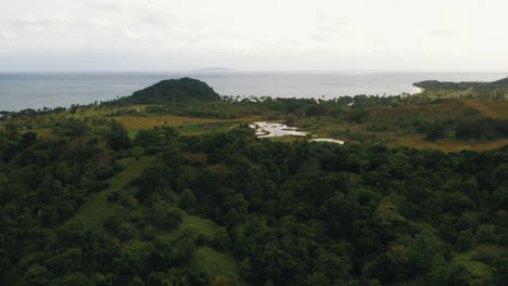 Drone-footage-of-forest-and-ocean-in-Suva,-Fiji