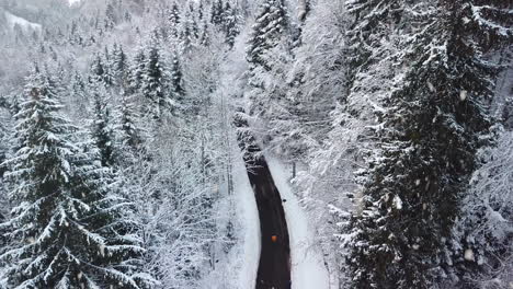Tree-tops-covered-in-snow-and-iconic-winter-road-during-snowfall,-aerial-drone-view
