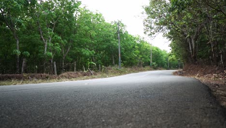 Low-Shot-Of-Highway-In-The-Middle-Of-The-Forest