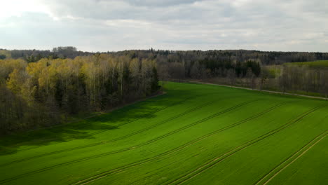 Aerial-flight-over-beautiful-green-farm-field-amid-forests-on-bright-sunny-day