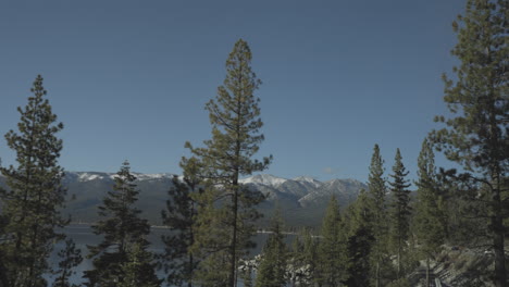 Douglas-Fir-trees-in-front-of-Lake-Tahoe-with-mountains-beyond-all-drift-by-the-driver-side-window-on-a-beautiful-day