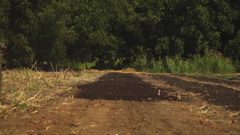 Static-view-of-a-farmer-composting-and-tilling-for-farming-cucumber-on-a-beautiful-sunny-morning