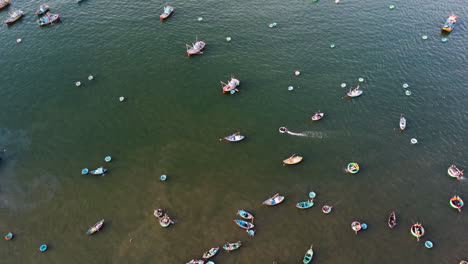 Aerial-view-of-two-coracle-boats-moving-in-Mui-Ne-bay-Vietnam-fisherman-activities-in-early-morning-bringing-seafood-and-fish-to-trucks,-shops-and-restaurants