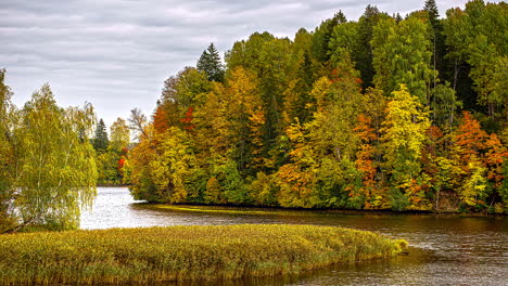 Autumn-Landscape-By-The-Forest-River-In-Daugavas-Loki-Nature-Park,-Latvia