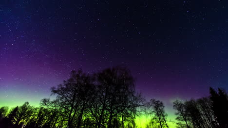 Low-angle-shot-of-aurora-solar-storm-over-Pine-tree-Forest-at-night
