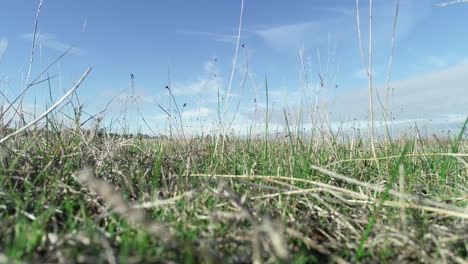 Hyperlapse-of-grasslands-from-low-angle-looking-up-toward-beautiful-blue-sky