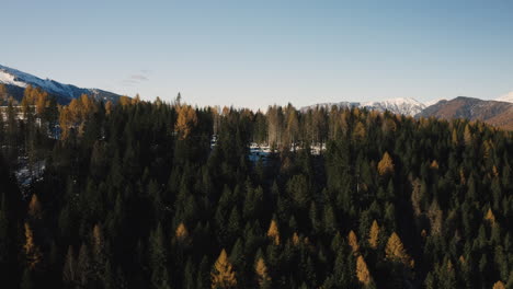 A-drone-rises-in-Paneveggio-park-over-the-valley-Fiemme