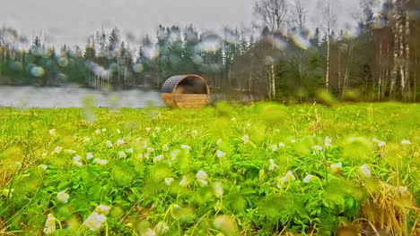 Early-Morning-Mist-On-A-Blooming-Wildflower-Fields-With-Thermo-Wood-Barrel-Sauna-Near-Lakeshore