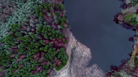 Luftaufnahme-Aus-Der-Vogelperspektive-über-Die-Herbstliche-Waldlandschaft-Rund-Um-Einen-See