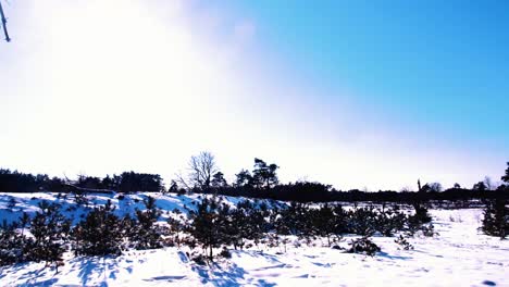 Establishing-shot-of-winter-snowy-countryside-landscape,-pan-left,-day