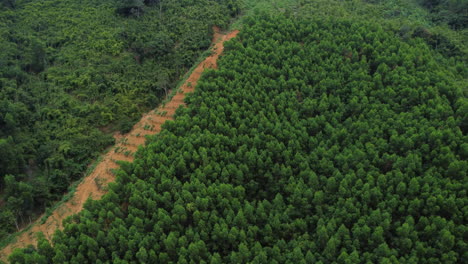 Aerial-circling-over-mountain-forest,-revealing-deforestation-zone,-Vietnam