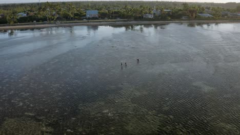 Aerial-orbit-around-two-Tongan-fishermen-walking-in-low-tide-waters-searching-for-crabs-and-fish