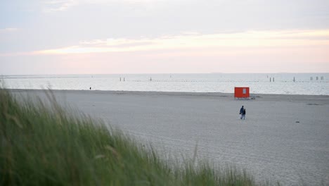 Una-Vista-De-Las-Dunas-Y-Dunegrass-En-La-Playa-En-Holanda-En-El-Mar-Del-Norte