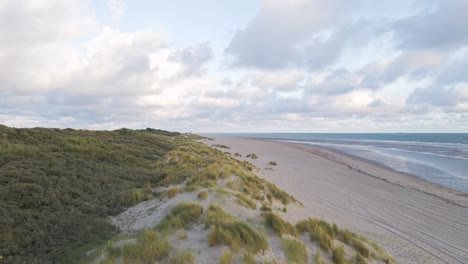Slow-aerial-flyover-sandy-grass-dunes-beside-beach-and-blue-water-of-north-sea-in-Netherlands