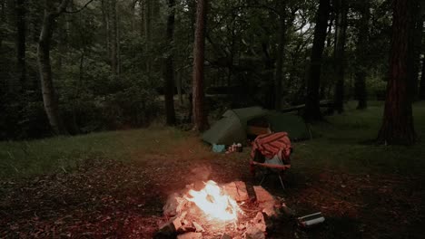 Wood-campfire-burning-at-campsite-in-forest
