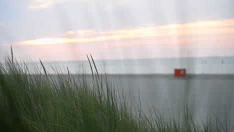 Blick-Hinter-Etwas-Dünengras-Mit-Dem-Strand-Der-Nordsee-Im-Hintergrund-Unscharf